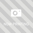 10.9六角ボルト ユニクロ 20×100　(1個)