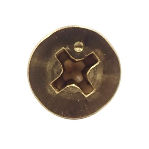 皿ビス(+) 真鍮 5×20　(10個入)