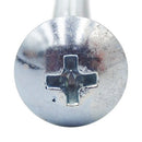 トラスビス(+) 三価クロメート 6×20　(10個入)