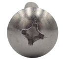 トラスビス(+) ステンレス 5×14　(20個入)