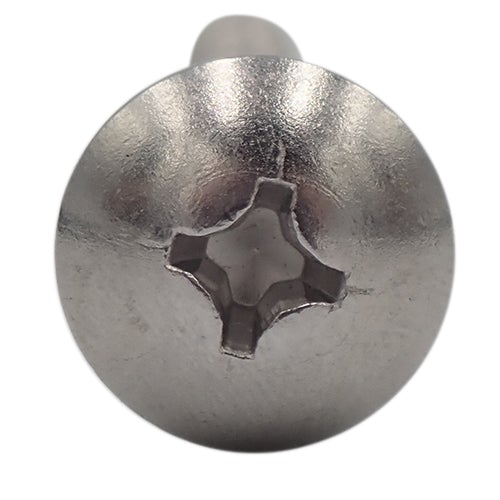 トラスビス(+) ステンレス 4×35　(20個入)