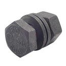 六角ハイテンボルト10T(日亜) 22X80　(1個)