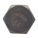 六角ボルト チタン 5×25　(1個)