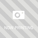 フランジナットセレーション付(Φ17) M8