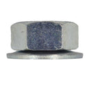 皿バネナット 三価クロメート M12　(5個入)