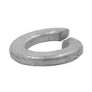 スプリングワッシャー2号 ドブ M22　小箱(100個入)