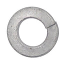 ネジナラ スプリングワッシャー2号 ドブ M16 (10個入)